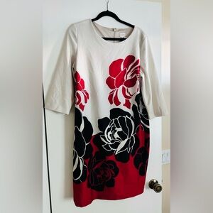 Beautiful jersey soft Chicos dress